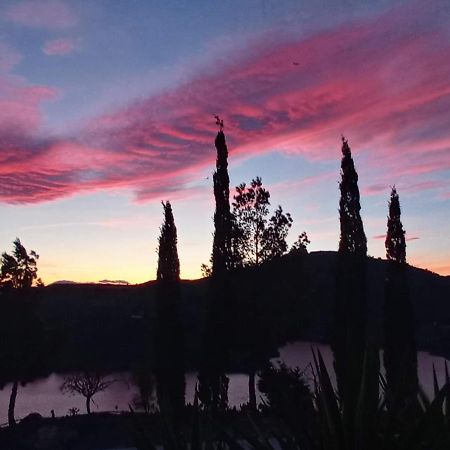 Finca Mallorquin マラガ エクステリア 写真